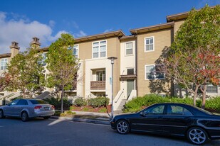 Amelia in San Mateo, CA - Building Photo