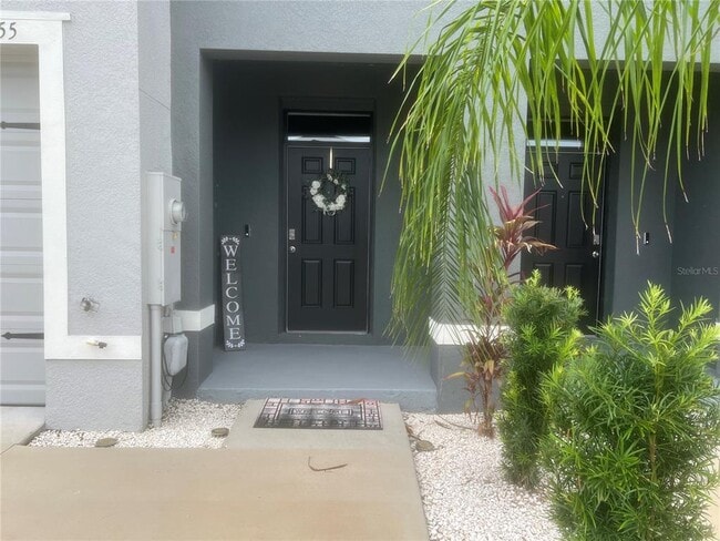 34355 Sorrel Mint Dr in Wesley Chapel, FL - Building Photo - Building Photo