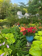 586 Bunker Rd in New London, NH - Building Photo - Building Photo