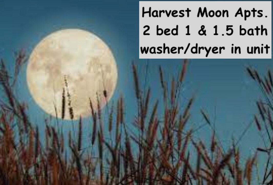 1924 Harvest Moon Dr in Gillette, WY - Building Photo