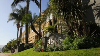 4565 Hazeltine Ave, Unit 215 in Los Angeles, CA - Building Photo