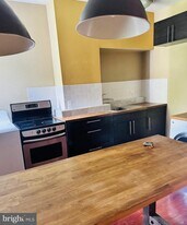 1913 Page St in Philadelphia, PA - Building Photo