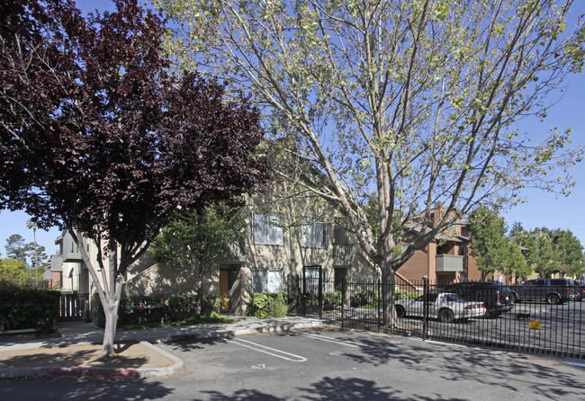 Bay Oak Apartments in Palo Alto, CA - Building Photo - Building Photo