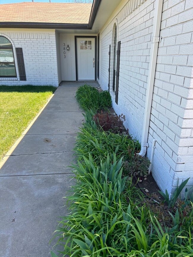 3803 Harmony St in Amarillo, TX - Foto de edificio - Building Photo