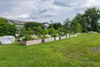 331 Lime Kiln Rd in South Burlington, VT - Building Photo - Building Photo