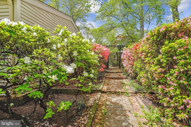3433 Executive Ave in Falls Church, VA - Building Photo - Building Photo