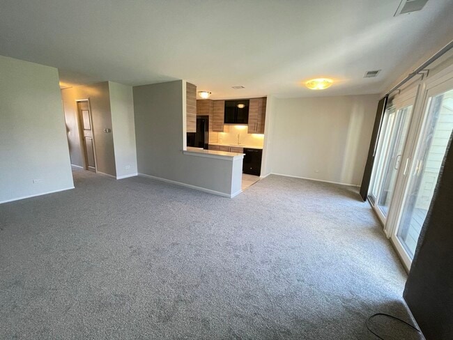 96 Marble Hill Ct in Schaumburg, IL - Building Photo - Building Photo