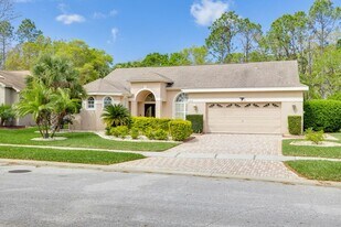 3713 Siena Ln in Palm Harbor, FL - Building Photo