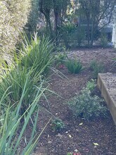 830 20th St in Santa Monica, CA - Foto de edificio - Building Photo