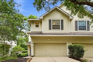 78 N Camellia Grove Cir in Spring, TX - Building Photo