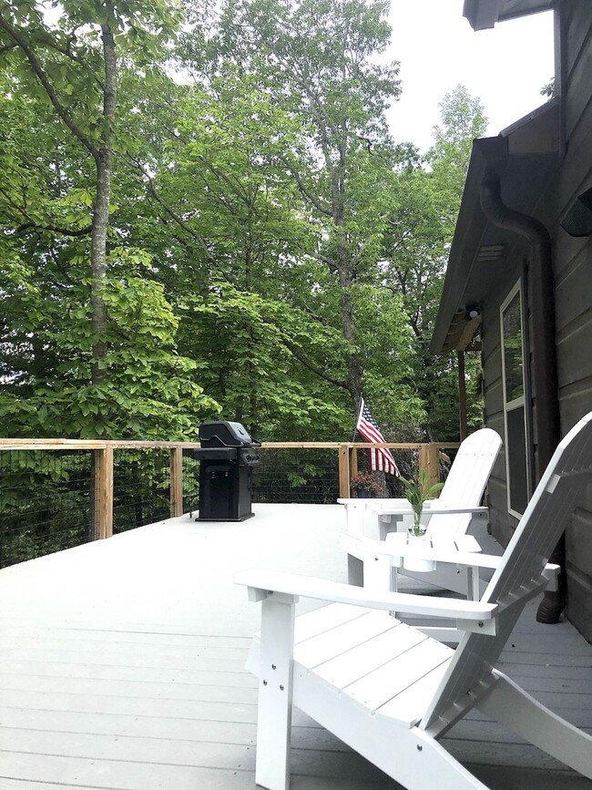 1566 Old Mill Rd in Hendersonville, NC - Building Photo - Building Photo