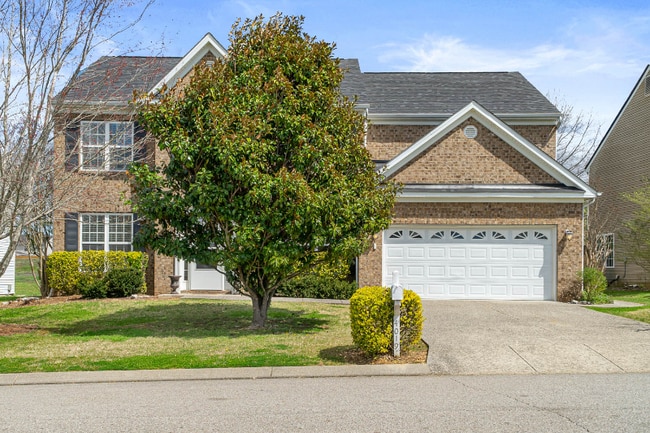 4019 Cadence Dr in Spring Hill, TN - Building Photo - Building Photo