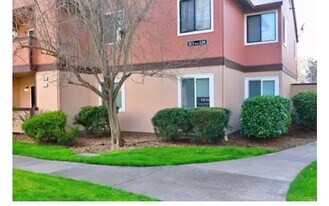 8201 Camino Colegio in Rohnert Park, CA - Building Photo