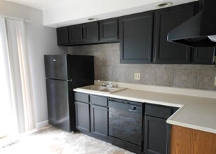 1139 N Park Ave in Springfield, IL - Building Photo - Building Photo