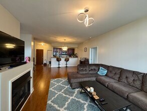 233 E 13th St in Chicago, IL - Building Photo - Building Photo