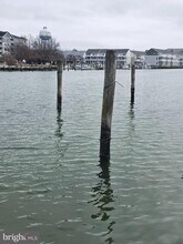 204 Market Square in Cambridge, MD - Building Photo - Building Photo