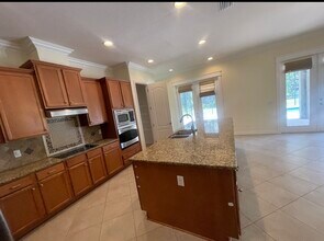 10531 Mistflower Ln in Tampa, FL - Building Photo - Building Photo