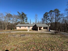 5035 Silver Ln in Apison, TN - Building Photo