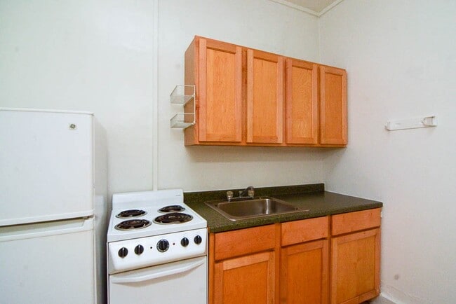 541 W Arlington Pl in Chicago, IL - Foto de edificio - Building Photo