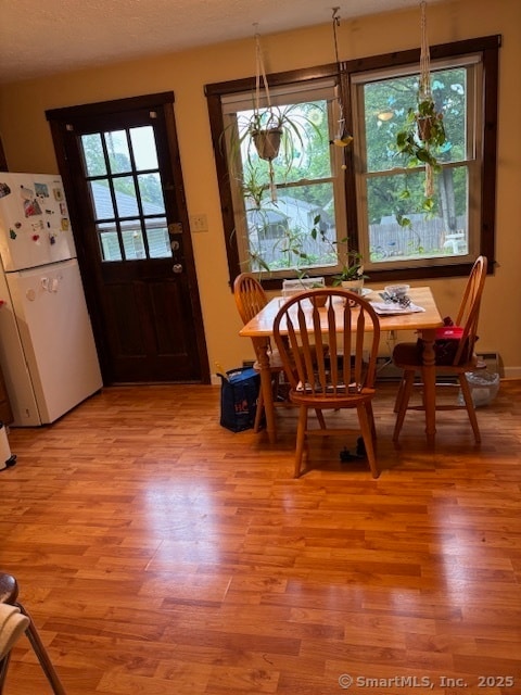 property at 185 Newell Ave