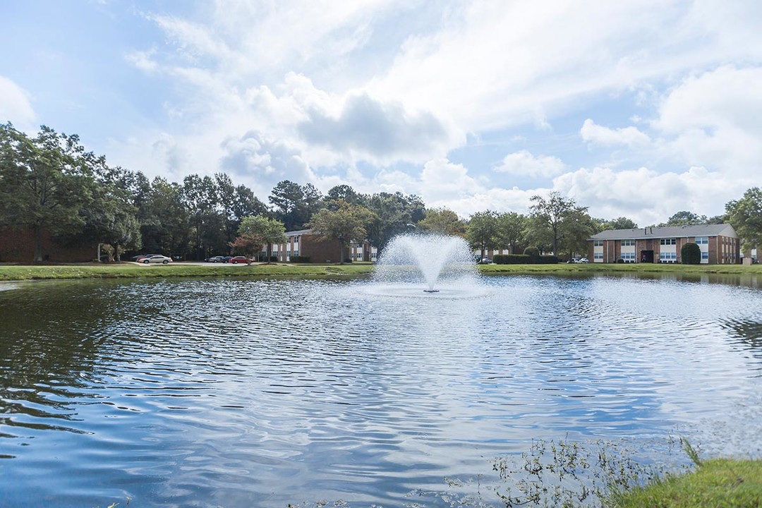 Lake Village Apartments in Chesapeake, VA - Building Photo