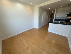 587 Albany St, Unit 1 in Boston, MA - Building Photo - Building Photo
