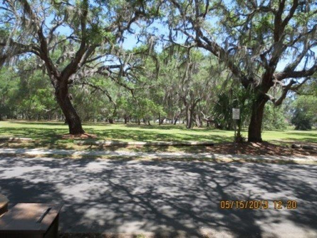 1202 E 11th Ave in Mount Dora, FL - Building Photo - Building Photo