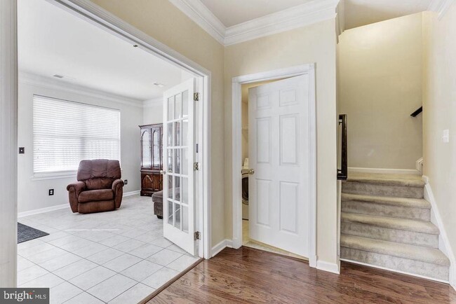 20479 Alicent Terrace in Ashburn, VA - Building Photo - Building Photo