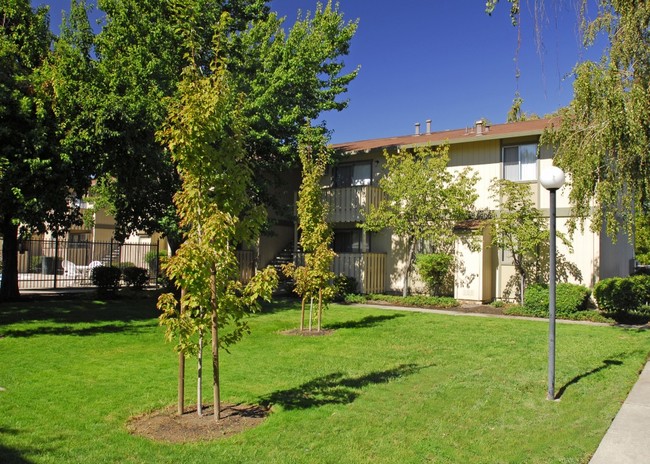 Oakview Apartments in Concord, CA - Building Photo - Building Photo