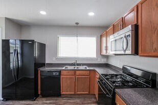 1523 Nichole Woods Dr in Houston, TX - Building Photo