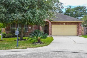 25203 Oak Villa Dr in Spring, TX - Building Photo