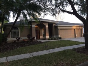 17711 Emerald Green Pl in Tampa, FL - Building Photo - Building Photo