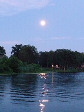 4331 Ormond Dr, Unit 1 in New Franklin, OH - Building Photo - Building Photo