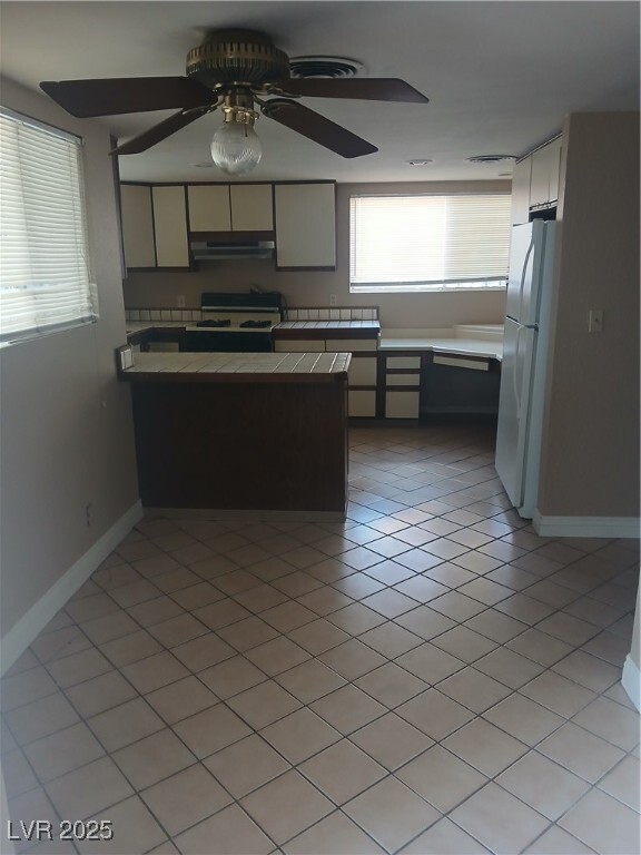3028 Scarlet Oak Ave in Las Vegas, NV - Foto de edificio - Building Photo