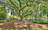 MAA Oak Grove in Tallahassee, FL - Building Photo - Building Photo