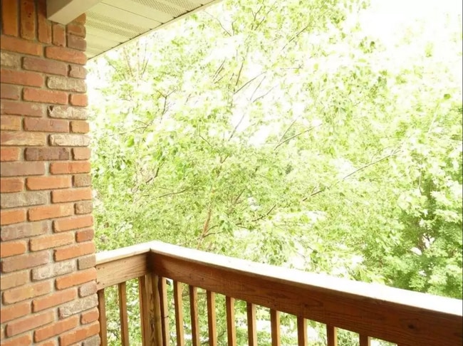 2665 Triple Crown Ln in Iowa City, IA - Building Photo - Building Photo