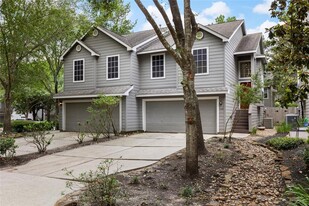 138 Anise Tree Pl in Spring, TX - Building Photo - Building Photo