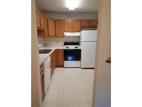 1232 Spruce Ct in New Richmond, WI - Building Photo - Building Photo
