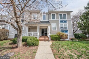 20596 Cornstalk Terrace, Unit 302 in Ashburn, VA - Building Photo