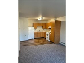 110 Union St E in Detroit Lakes, MN - Building Photo - Building Photo