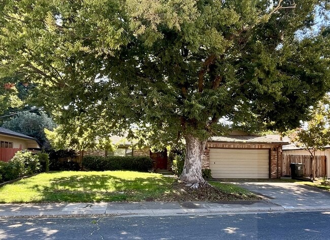 property at 4781 Rex Ct