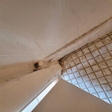 10090 NW 80th Ct in Hialeah Gardens, FL - Foto de edificio - Building Photo