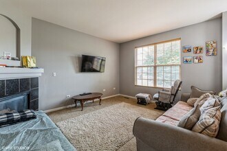 912 Neudearborn Ln in Naperville, IL - Building Photo - Building Photo