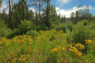 297 Robles Dr in Santa Cruz, CA - Foto de edificio - Building Photo