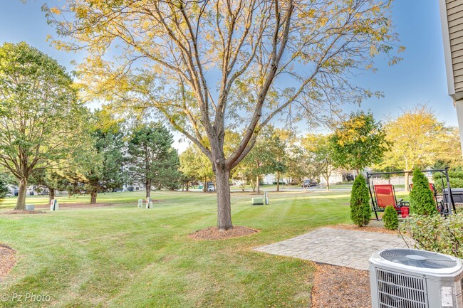 24343 Leski Ln in Plainfield, IL - Foto de edificio - Building Photo