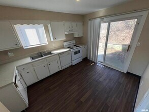 1331 W Jeth Ct in Peoria, IL - Building Photo - Building Photo