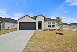 1139 Hughes Crossing Dr in Rosharon, TX - Building Photo