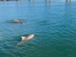 3536 Belle Vista Dr E in St Pete Beach, FL - Building Photo - Building Photo