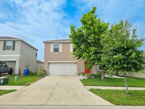 10520 Strawberry Tetra Dr in Riverview, FL - Building Photo - Building Photo