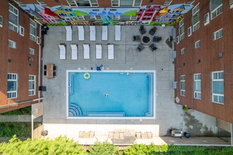 Lofts on Ormsby in Louisville, KY - Building Photo - Building Photo